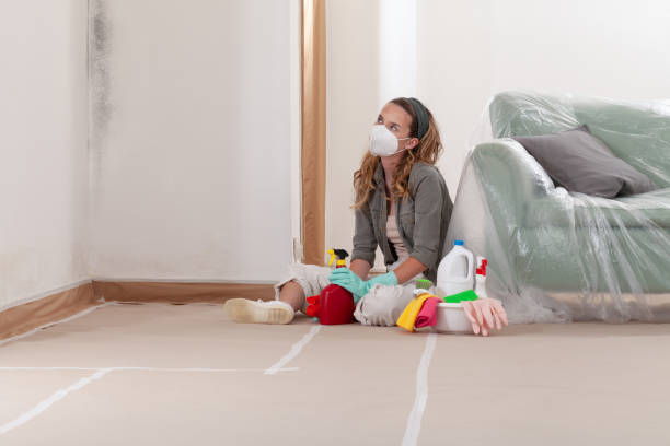 Reliable Mold Cleanup contractor in Dumont, NJ by Cheap Mold Removal
